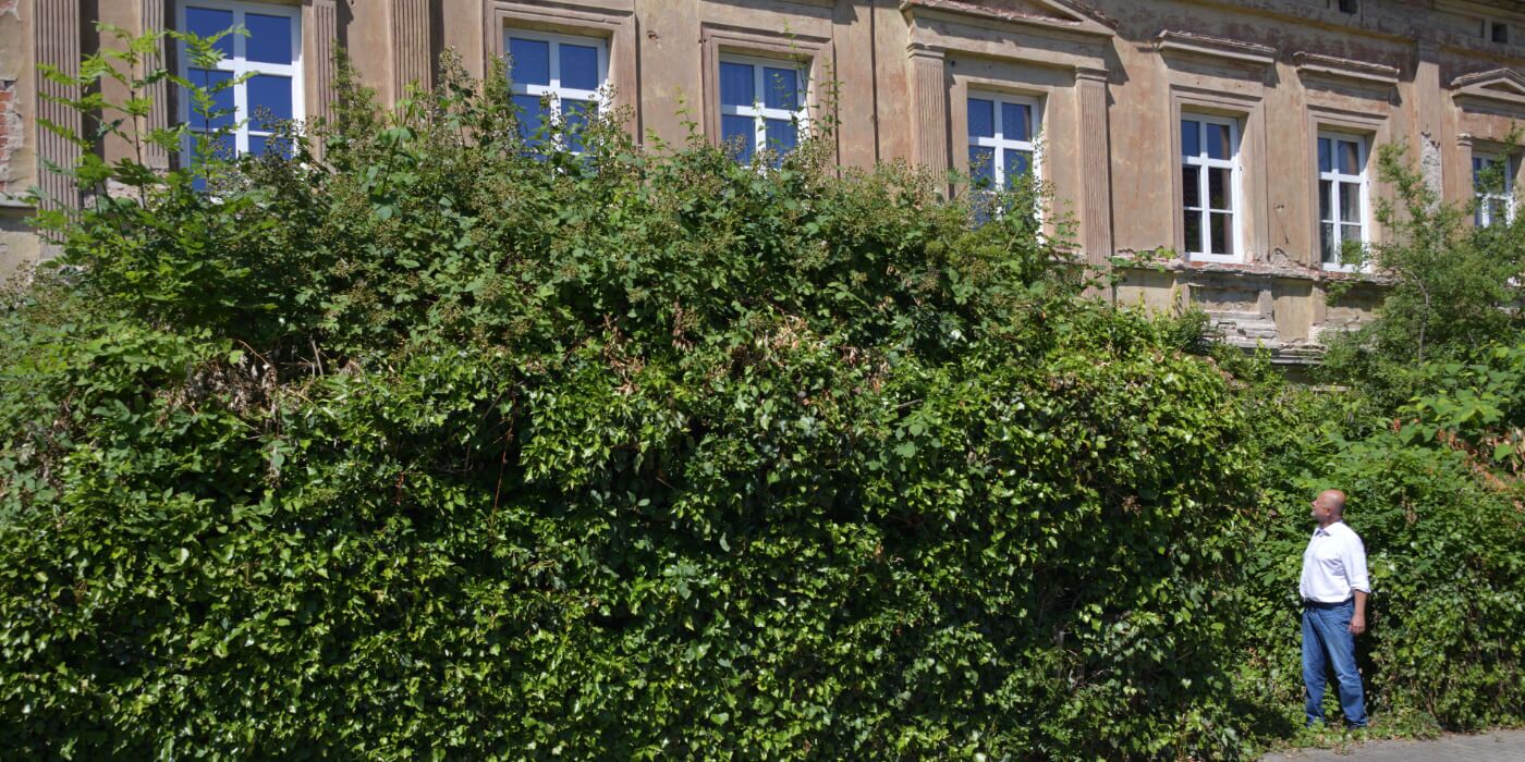 Ob es sich rechnet, eine Immobilie aus langem Dornröschenschlaf zu erwecken, zeigt sich erst bei genauem Hinsehen. Eine fachmännische Bauberatung ist das Mittel der Wahl, um das Risiko unerwarteter Ausgaben erheblich zu reduzieren. ©Rehhahn Bau