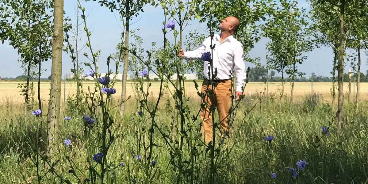 Rehhahn Bau: öko­logischer Gewinn durch Auen­gehölze.