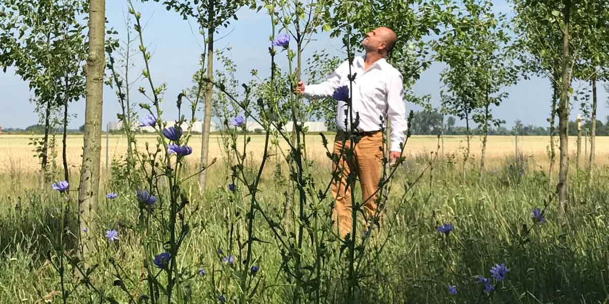Rehhahn Bau: ökologischer Gewinn durch Auengehölze. Rehhahn Bau: ökologischer Gewinn durch Auengehölze.